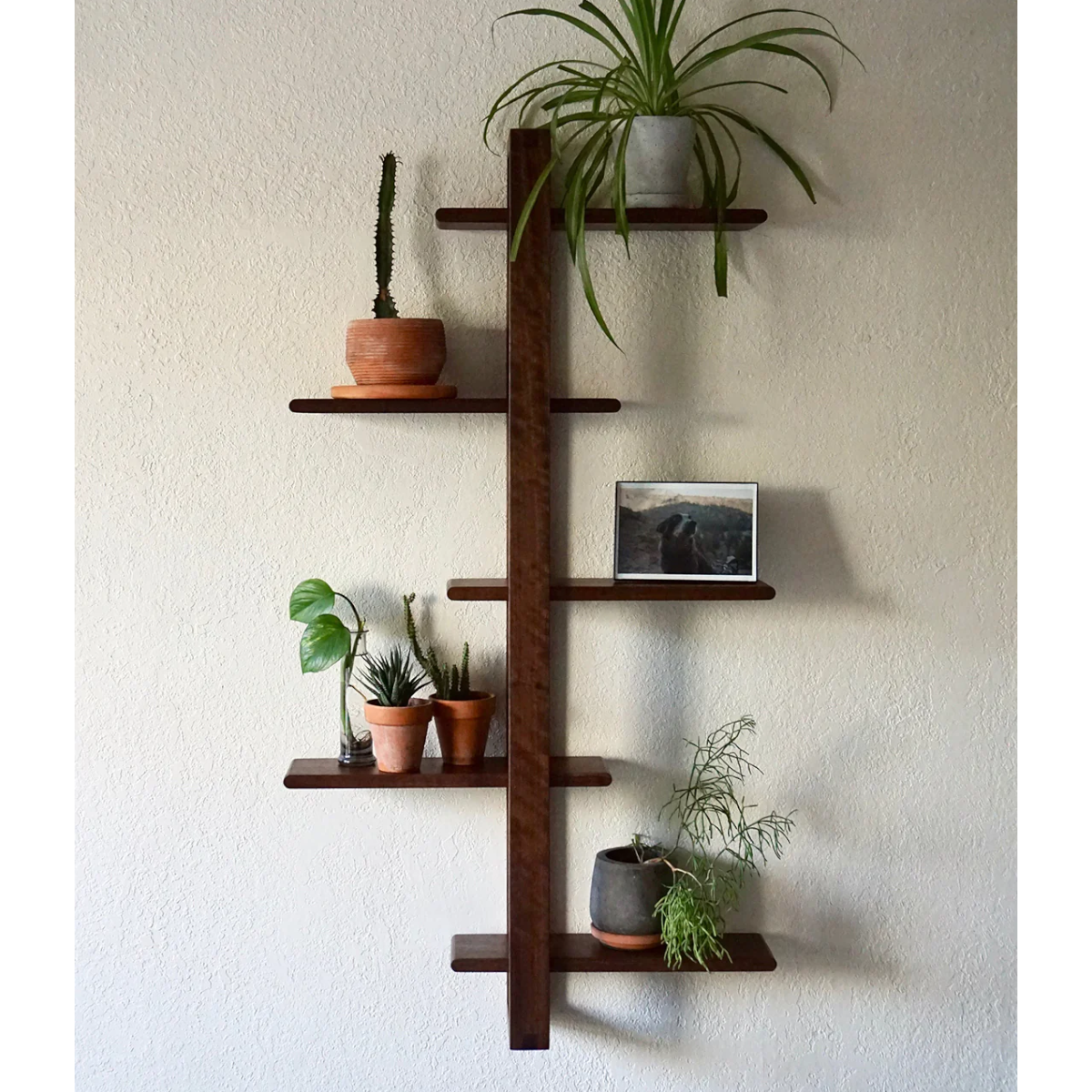 Small Wooden Wall Shelves Mint Epoxy Resin Live Edge Wood Wall Shelf Small Wooden Wall Shelves Mint Epoxy Resin Live Edge Wood Wall Shelf