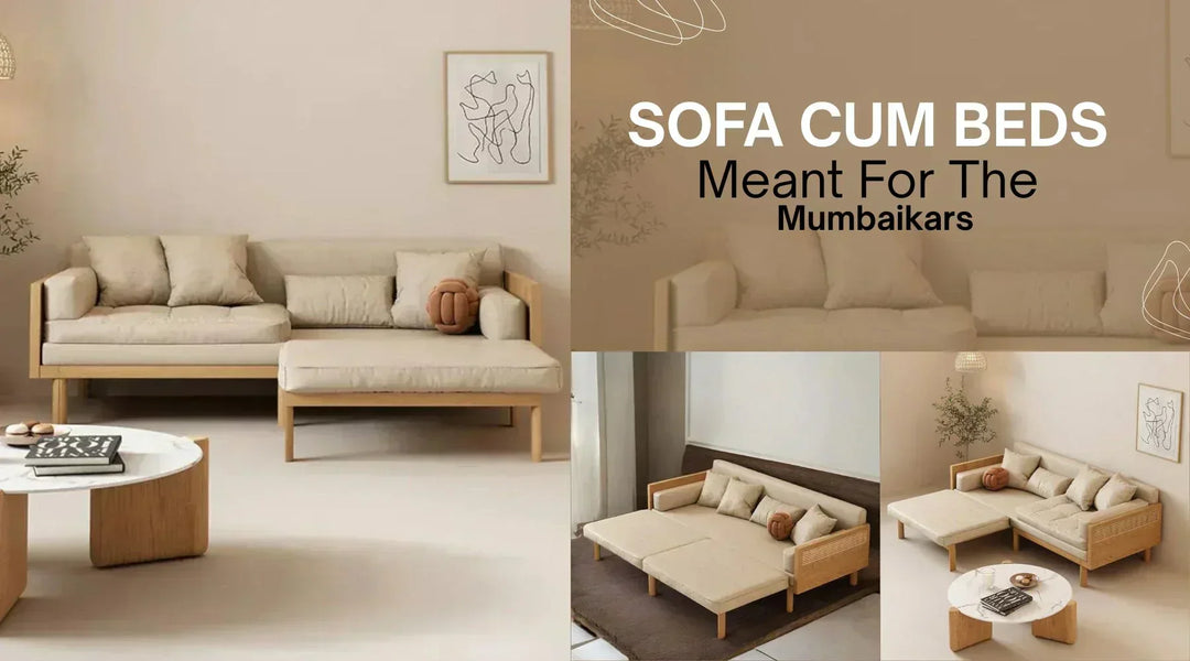 Sofa Cum Beds Online