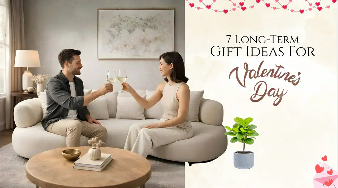  Celebrated valentine's day