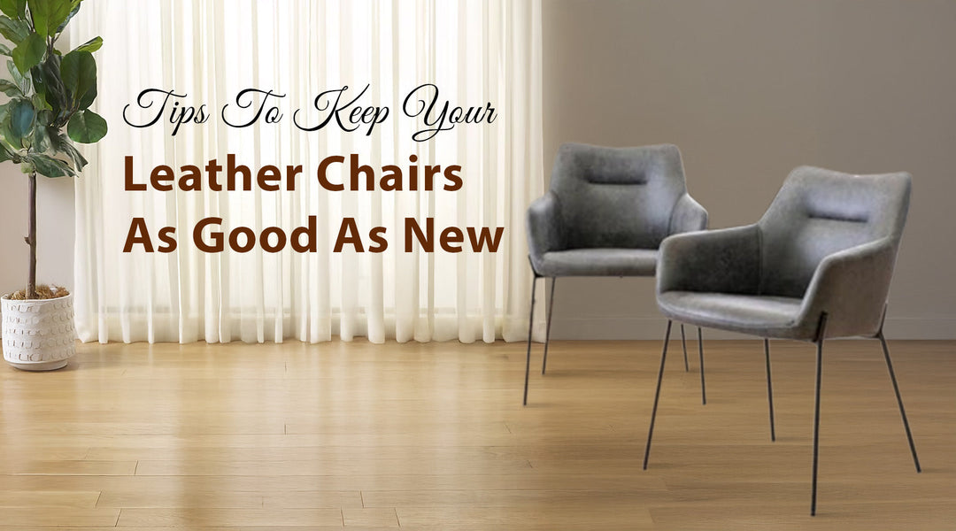 how to clean lether dining chairs